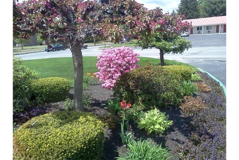 Belmont Motel Skowhegan Zewnętrze zdjęcie